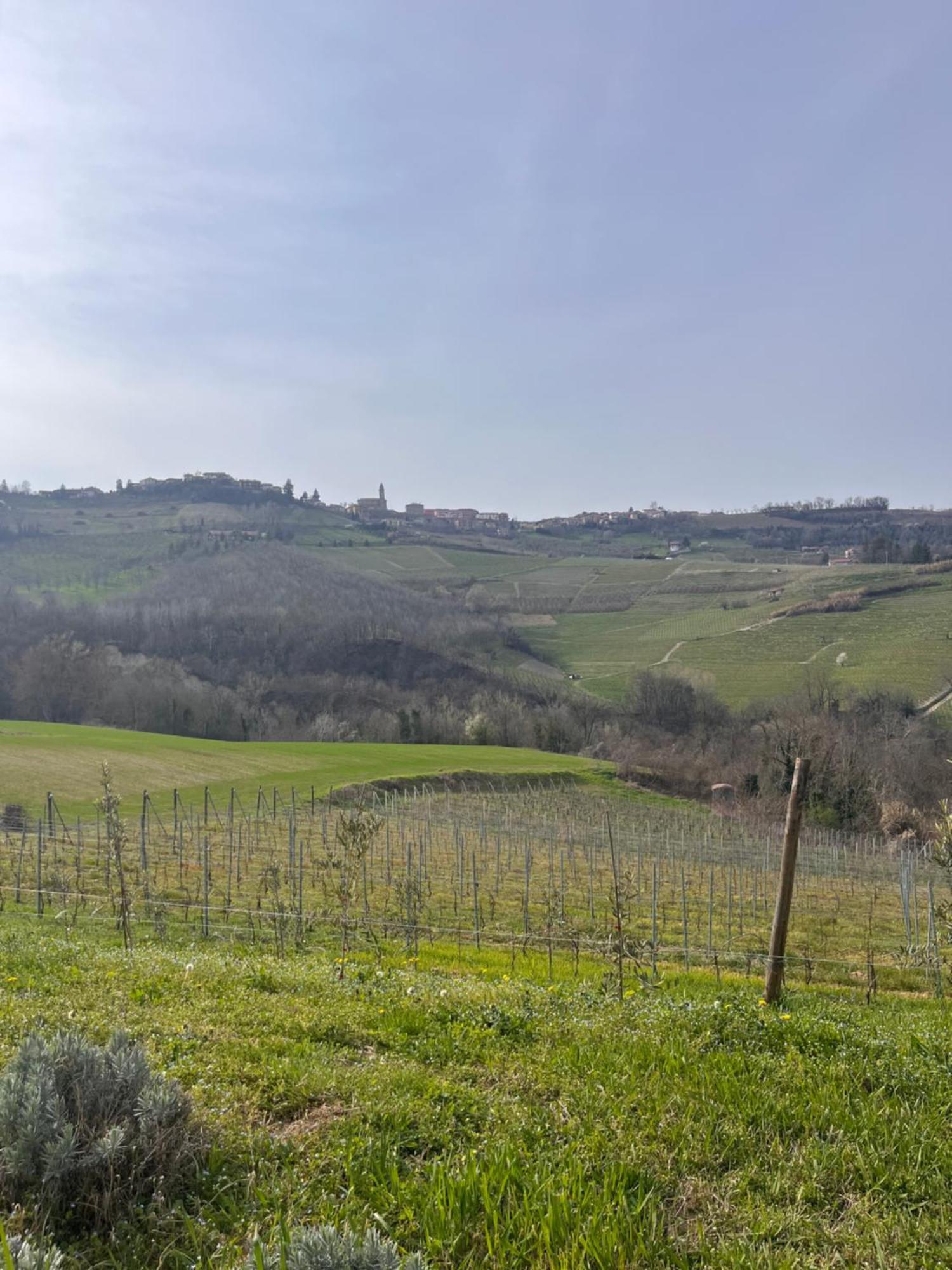 Le Cornici - Cascina Di Charme Hotel Diano d'Alba Exterior photo